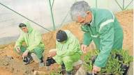 ایران» خروج مهاجران غیرمجاز از کشور و تأثیر آن در مشاغل کارگری را بررسی میکند فرصت طلایی برای کارگران ایرانی